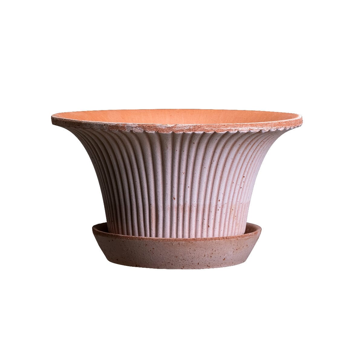 Daisy Rosa inc Saucer Pots - Berg Berg 