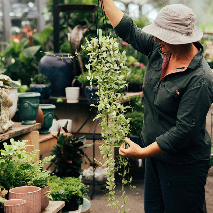 Brookfield Gardens: Brisbane’s top retail destination for gardeners