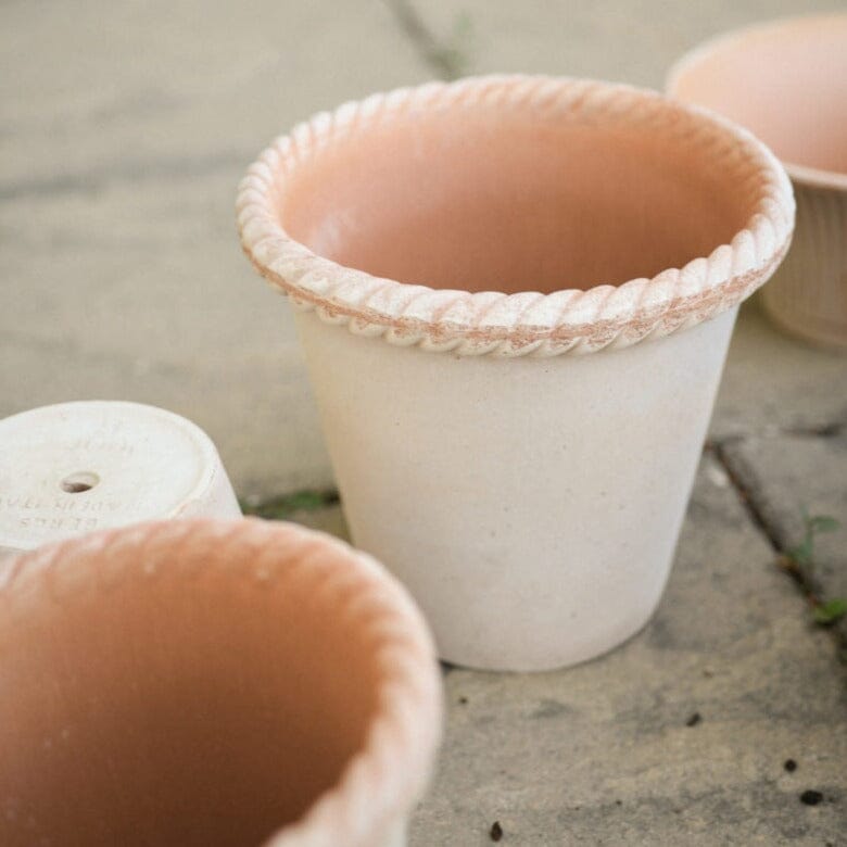 Emilia Rose inc saucer Pots - Berg Berg 