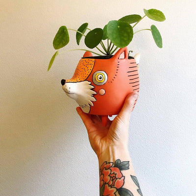 Foxy Planter Pots - Animals/Faces Brookfield Gardens