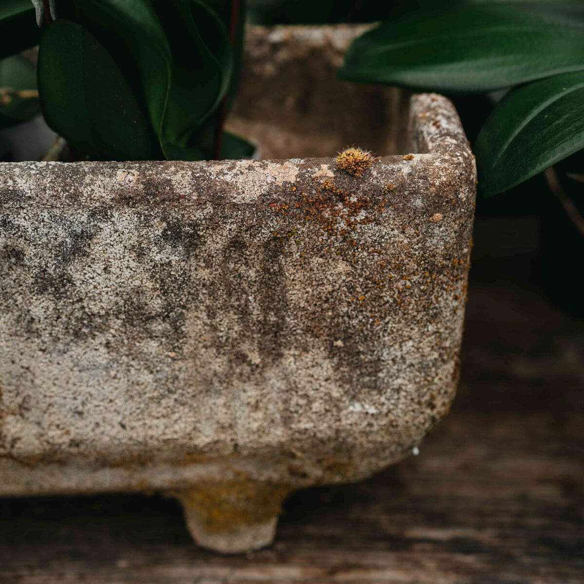 French Mid-Century Concrete Planter Pots - Stone/Pebble/Concrete Brookfield Gardens 