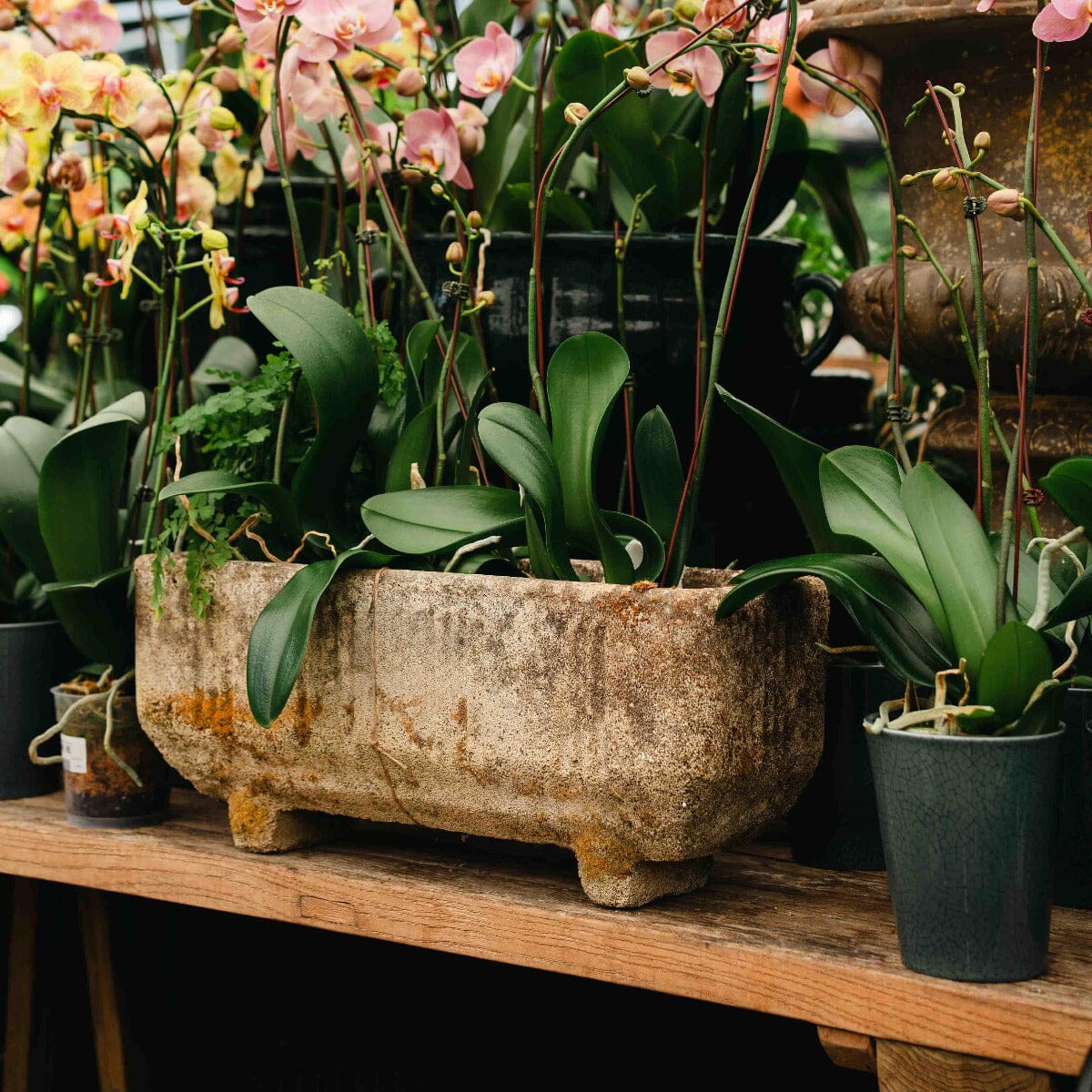 French Mid-Century Concrete Planter Pots - Stone/Pebble/Concrete Brookfield Gardens 