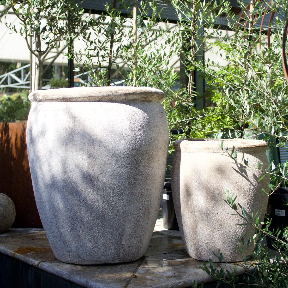 Ganache Olive Jar Pots - Terracotta Brookfield Gardens 