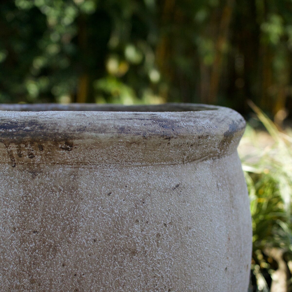 Ganache Olive Jar Pots - Terracotta Brookfield Gardens 