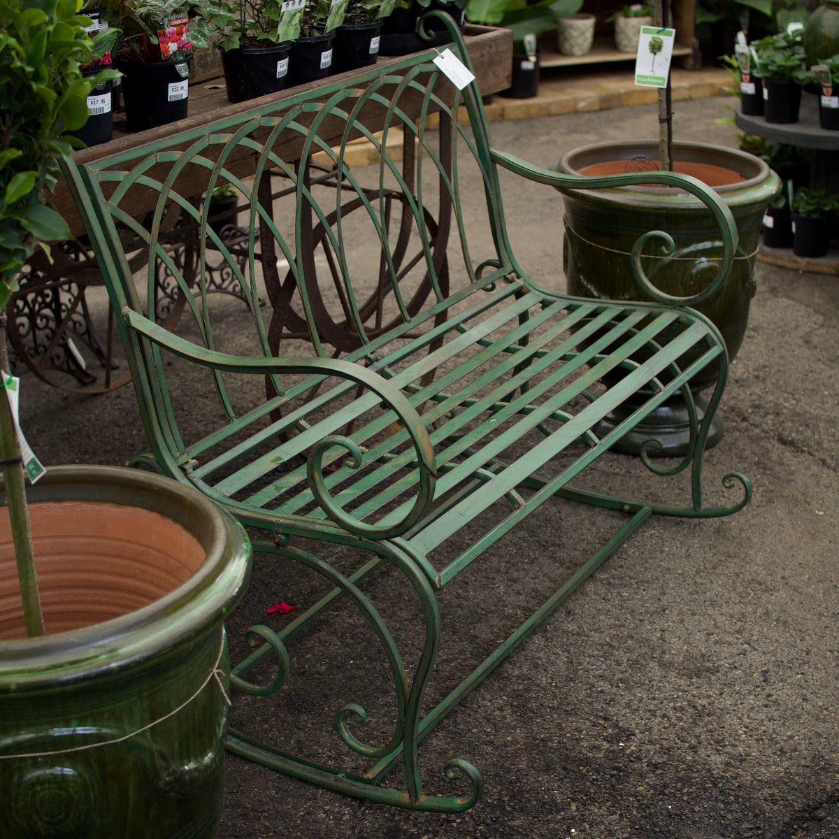 A green metal garden bench with decorative scrollwork and slatted seat, photographed in a nursery or garden center setting with potted plants and large ceramic pots around it.