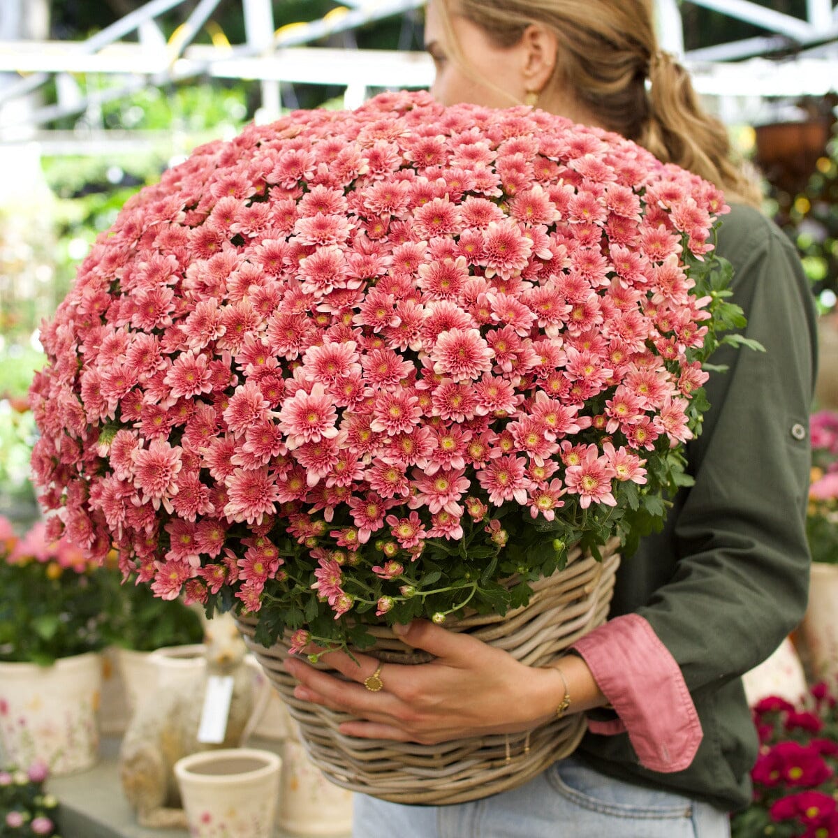 Garden Mum in Basket Hampers Brookfield Gardens 