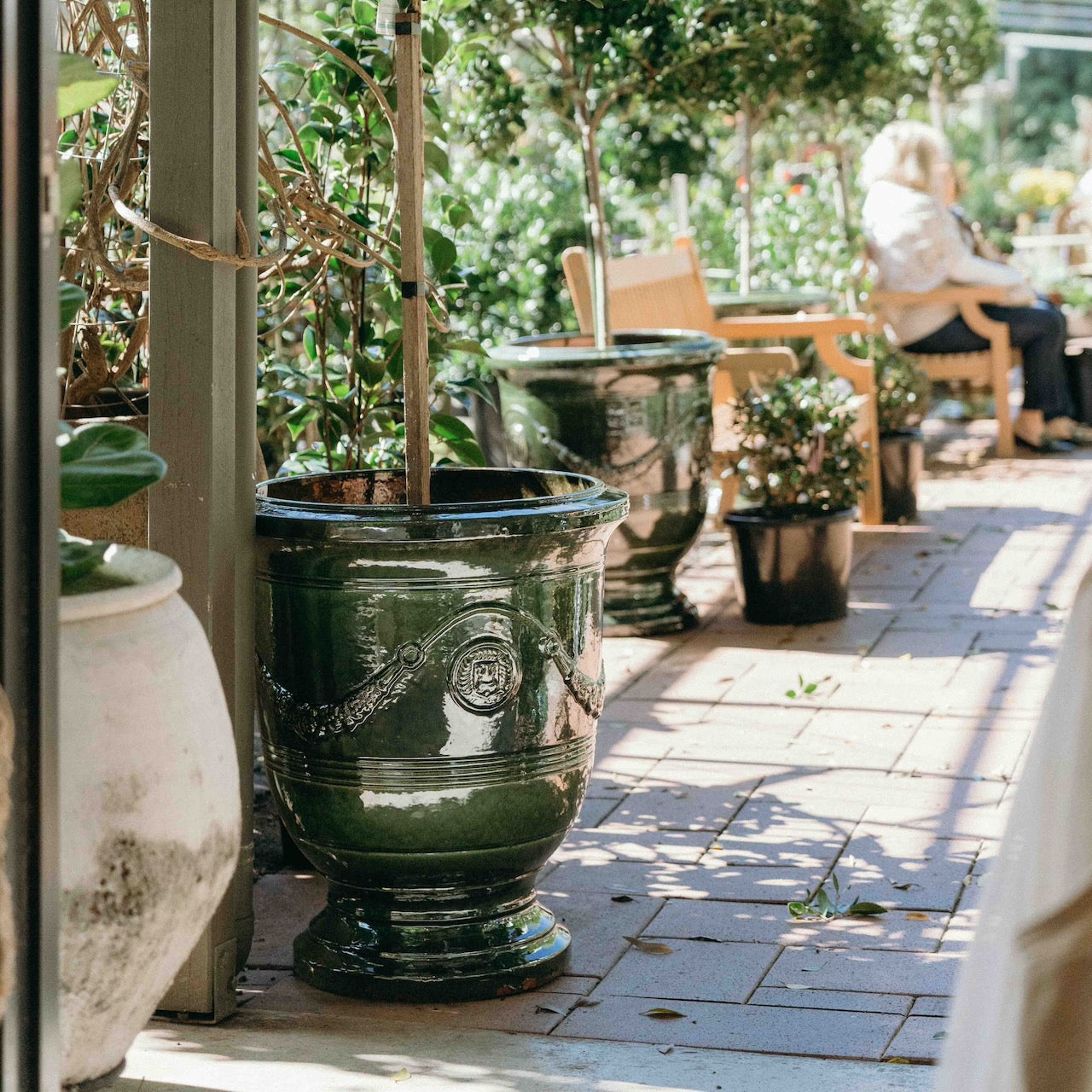 Grand Anduze Urn with a glossy emerald green glaze, styled with a feature tree at Brookfield Gardens, Brisbane.