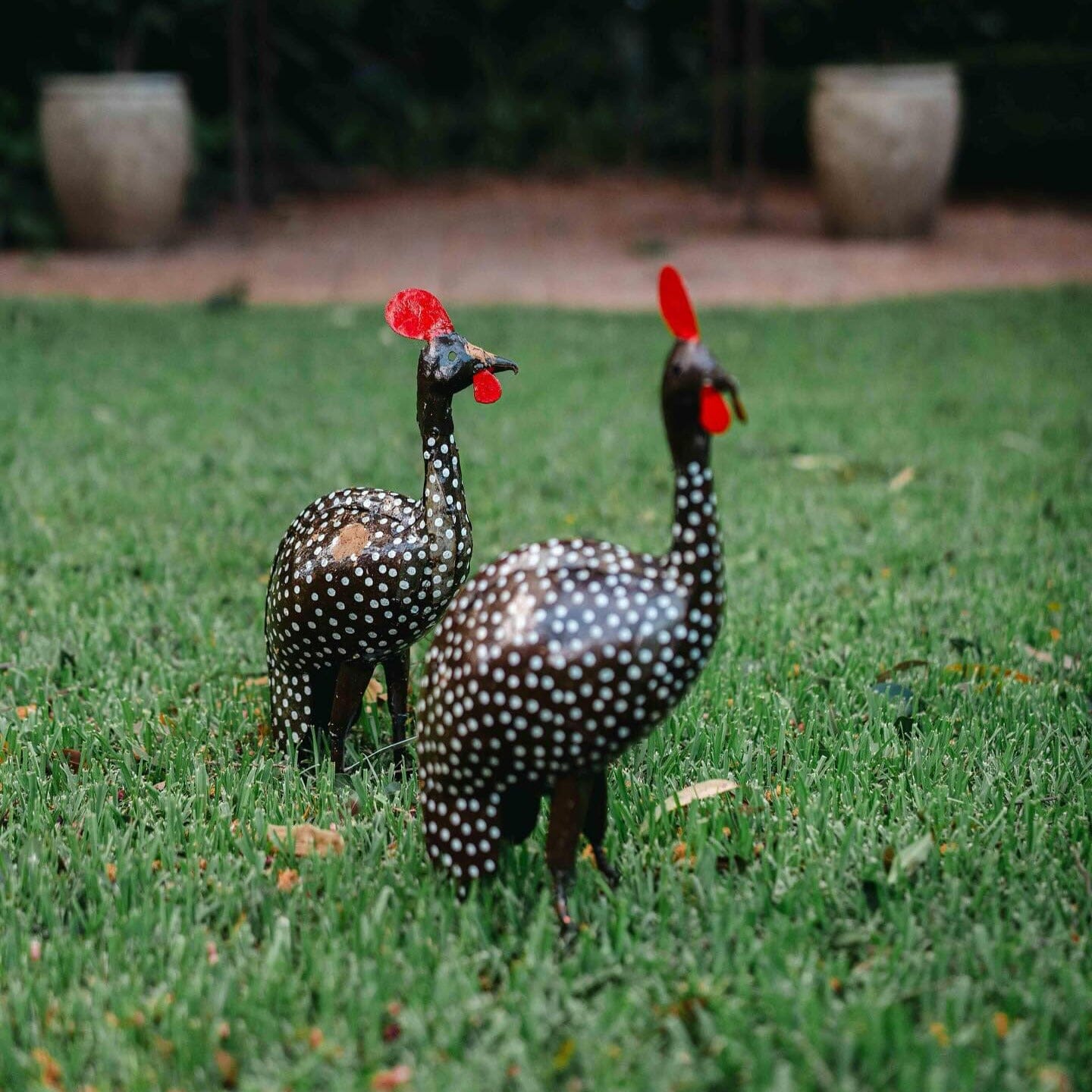 Guinea Fowl Garden Art Brookfield Gardens 