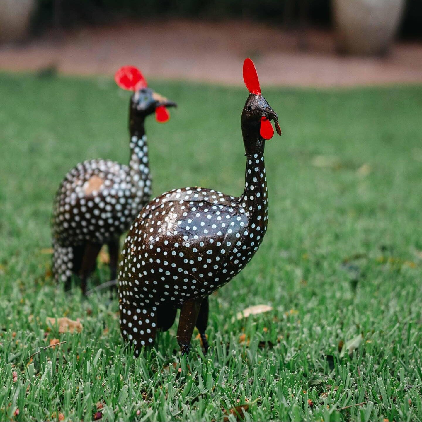 Guinea Fowl Garden Art Brookfield Gardens 