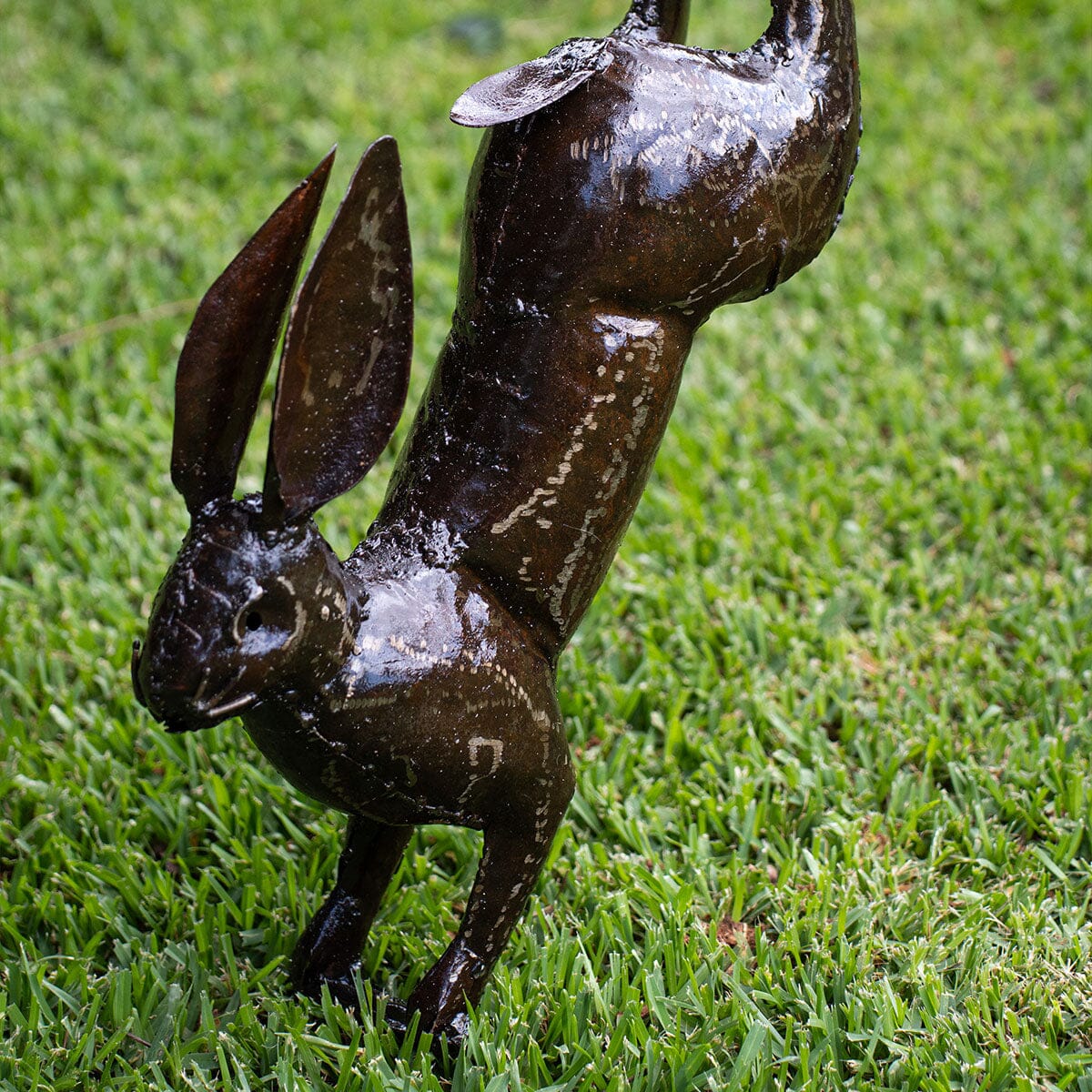 Hare Trio Garden Art Brookfield Gardens 