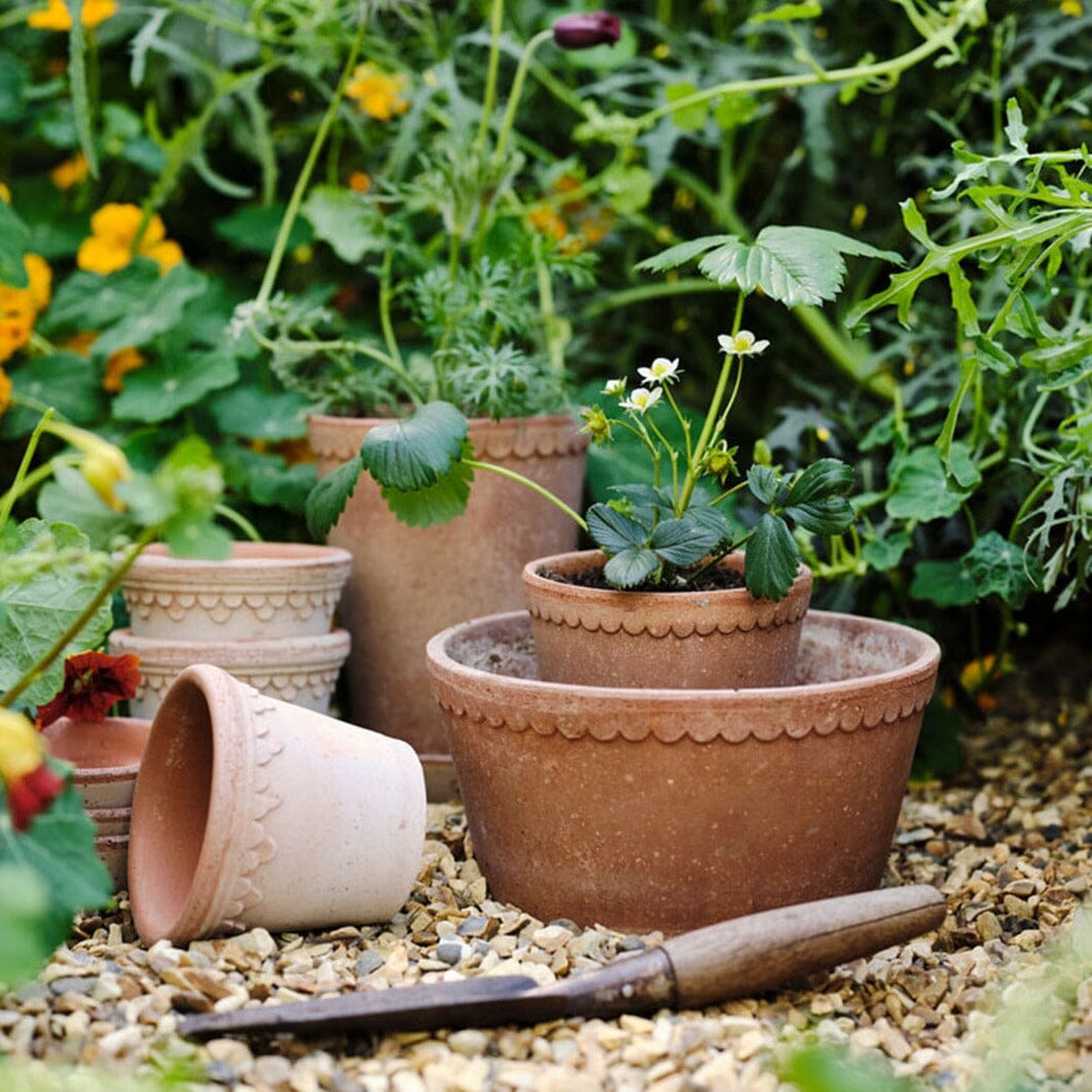 Helena Rosa Low Pot inc saucer Pots - Berg Berg 