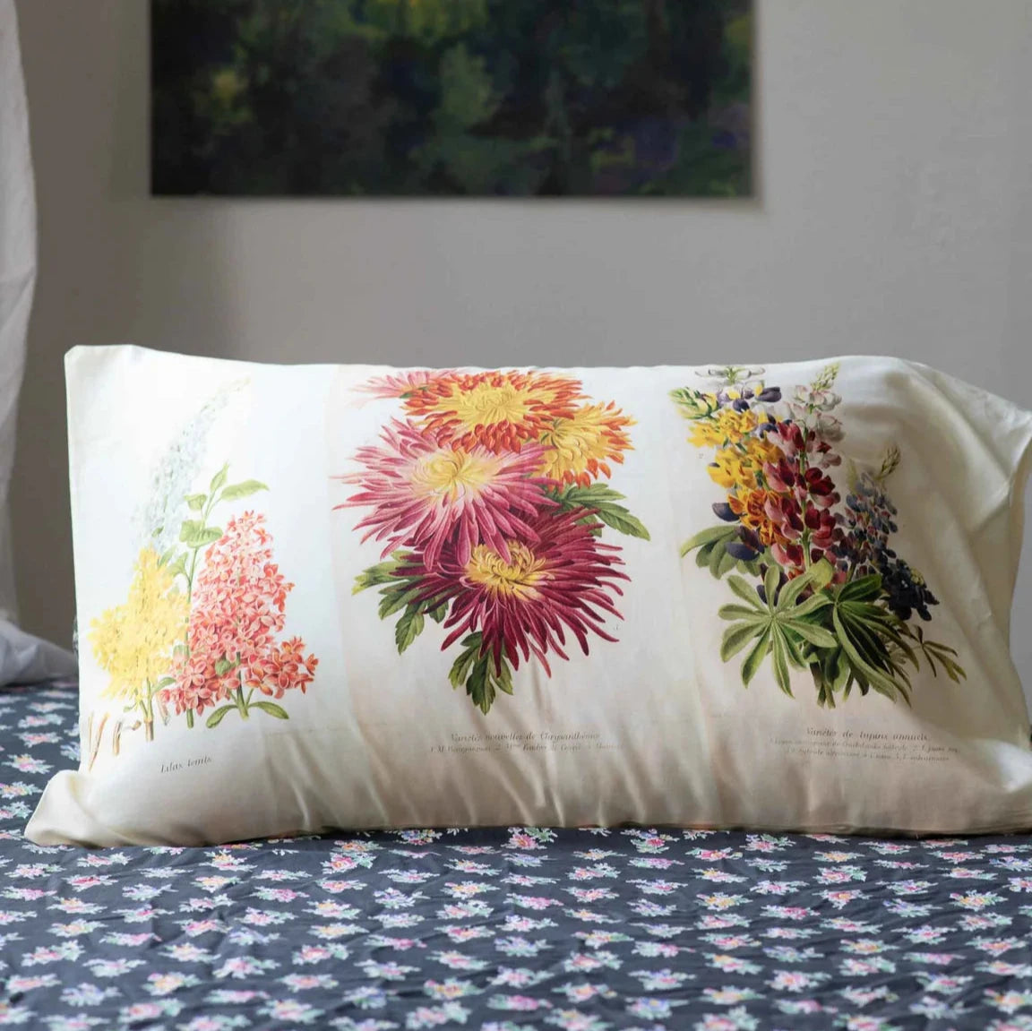 Horticole Organic Pillowcase Set BH - Bedding Brookfield Gardens 