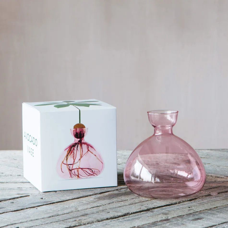 Avocado Vase Pink