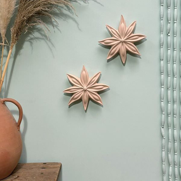 Monochromic 'Janis' Star Anise