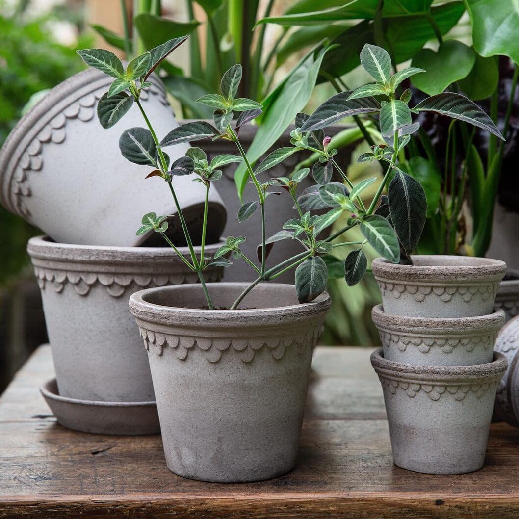 Kobenhavner Grey inc saucer Pots - Berg Berg 