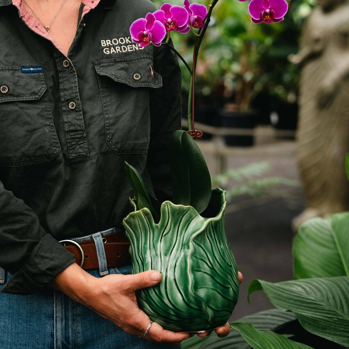 Mode Cabbage Vase Pots - Decorator Brookfield Gardens 