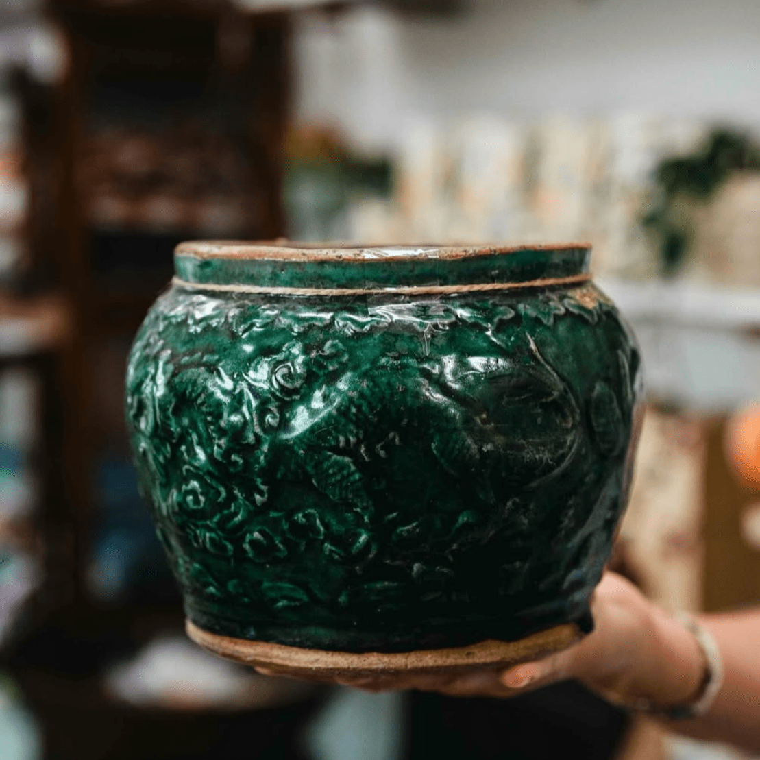 Old Green Glazed Pot - Borneo BH - Homewares Brookfield Gardens 