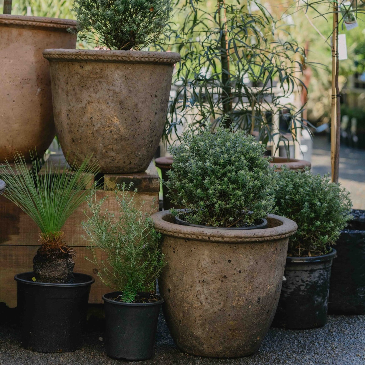 Old Stone Jar