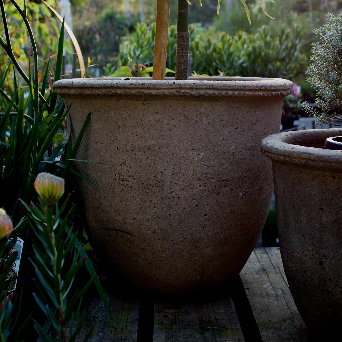 Old Stone Jar