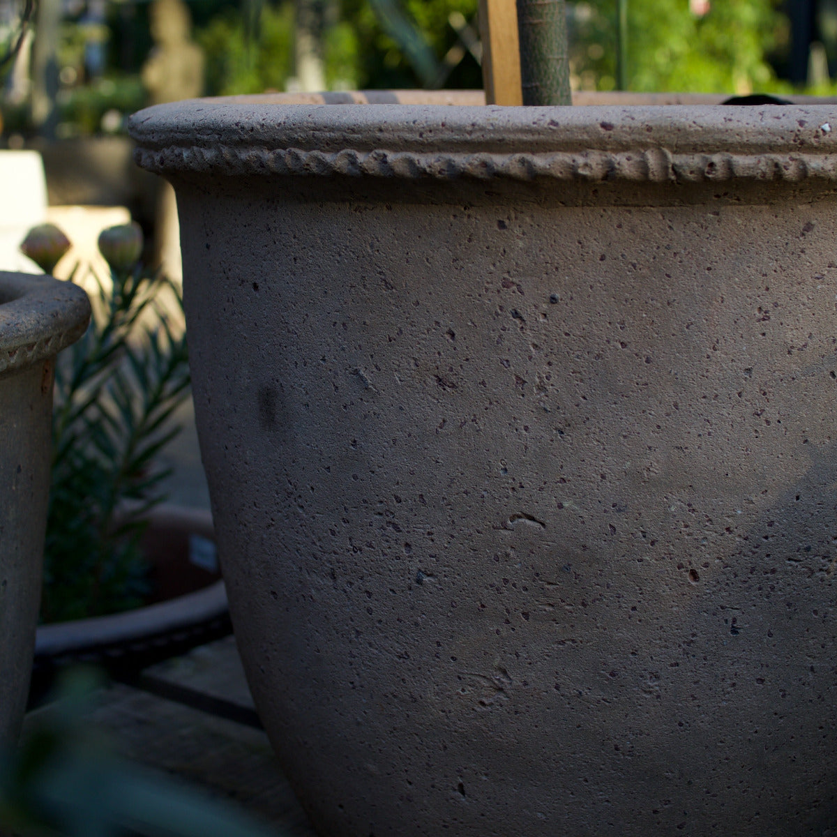 A close-up of a large textured concrete planter pot in an outdoor garden setting.