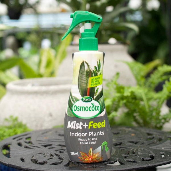 osmocote for indoor plants Osmocote Mist and Feed