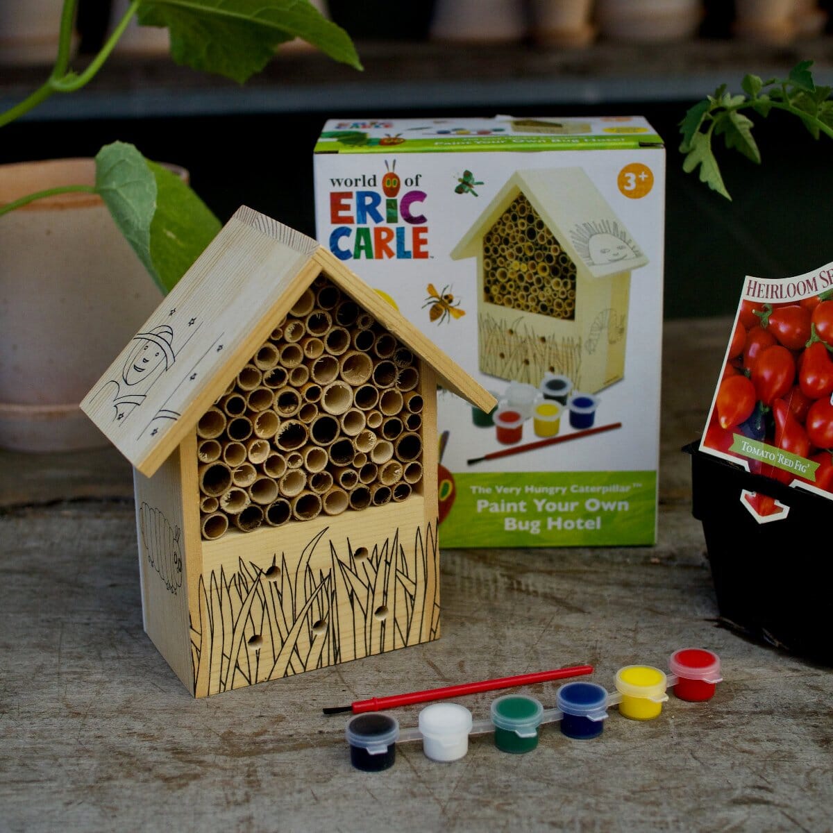 Paint Your Own Bug Hotel - Very Hungry Caterpillar Kids Brookfield Gardens 