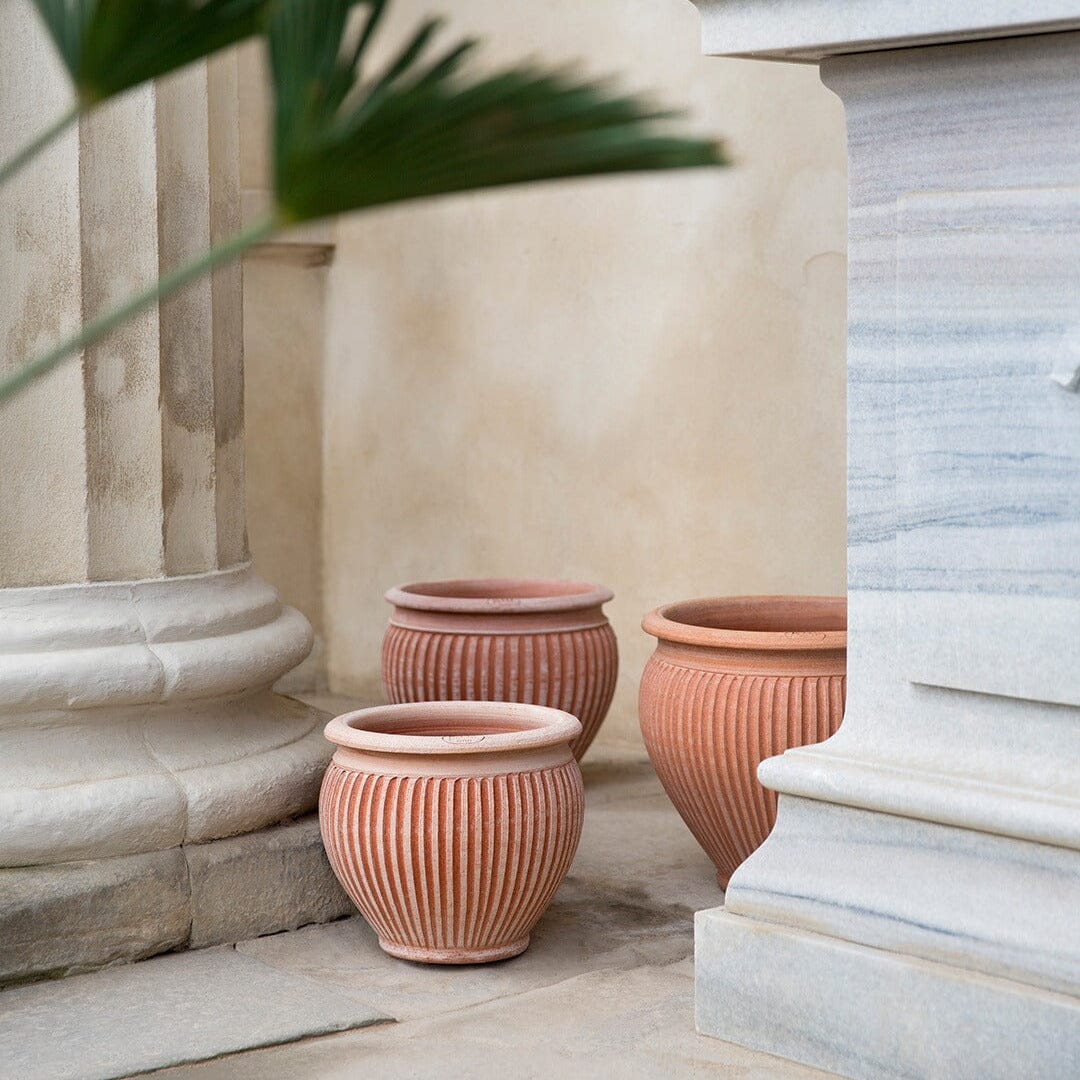 Piccolina Rosa Pots - Berg Brookfield Gardens 