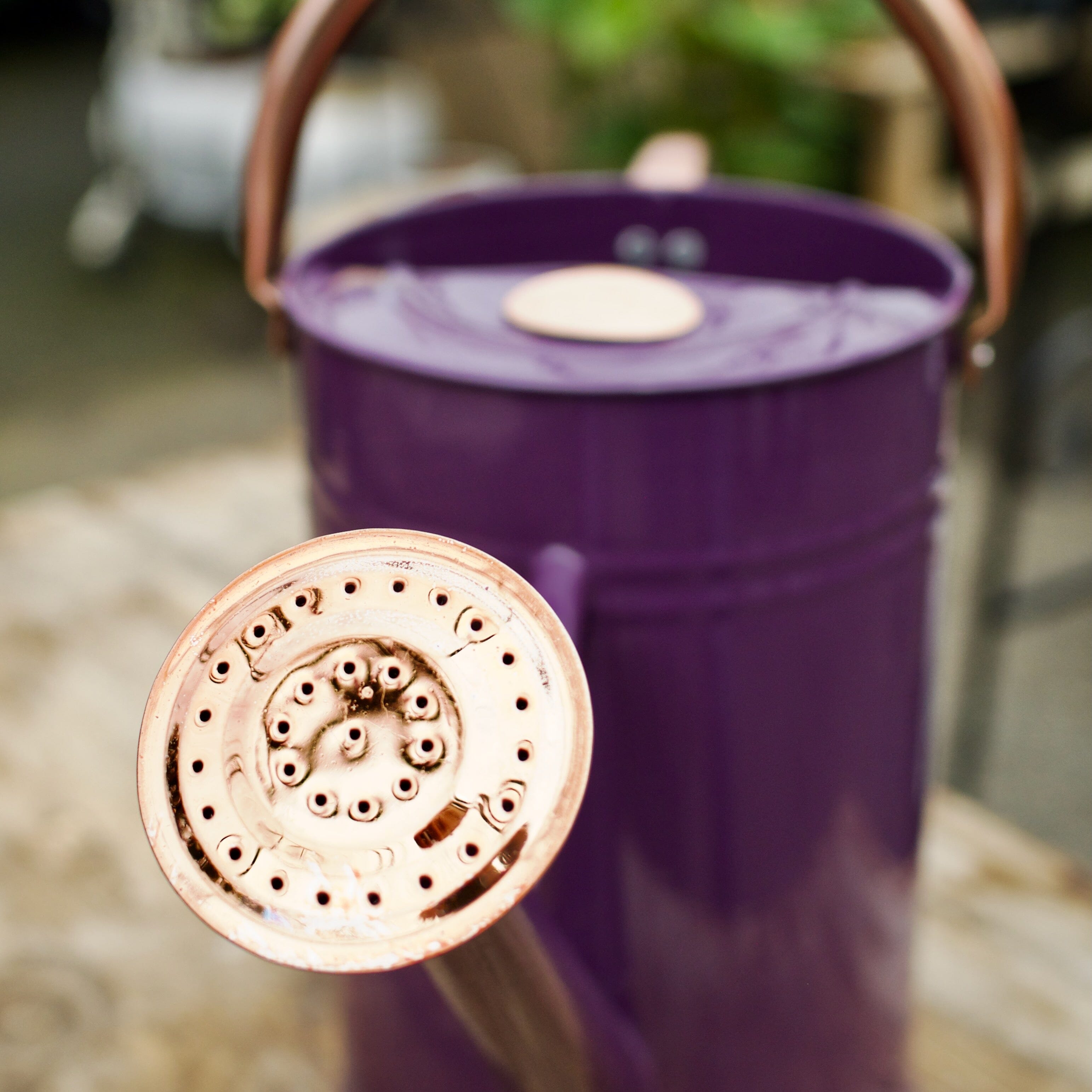 Plum Watering Can 4.5L Hard Ware Brookfield Gardens 