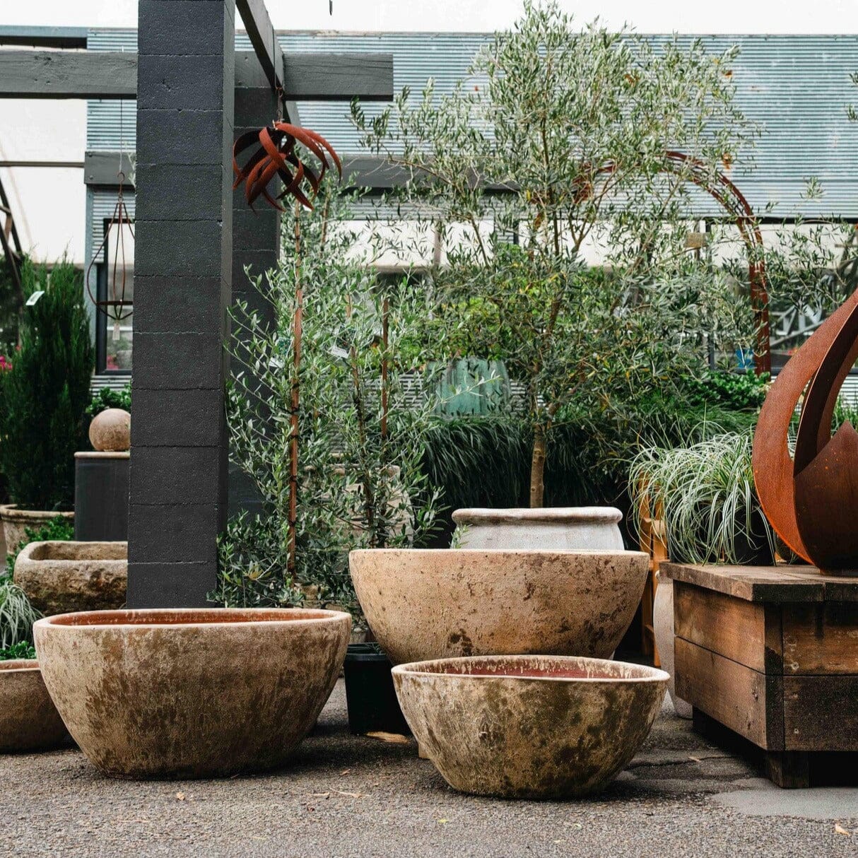 Rustica Bowl Pots - Atlantis Brookfield Gardens 