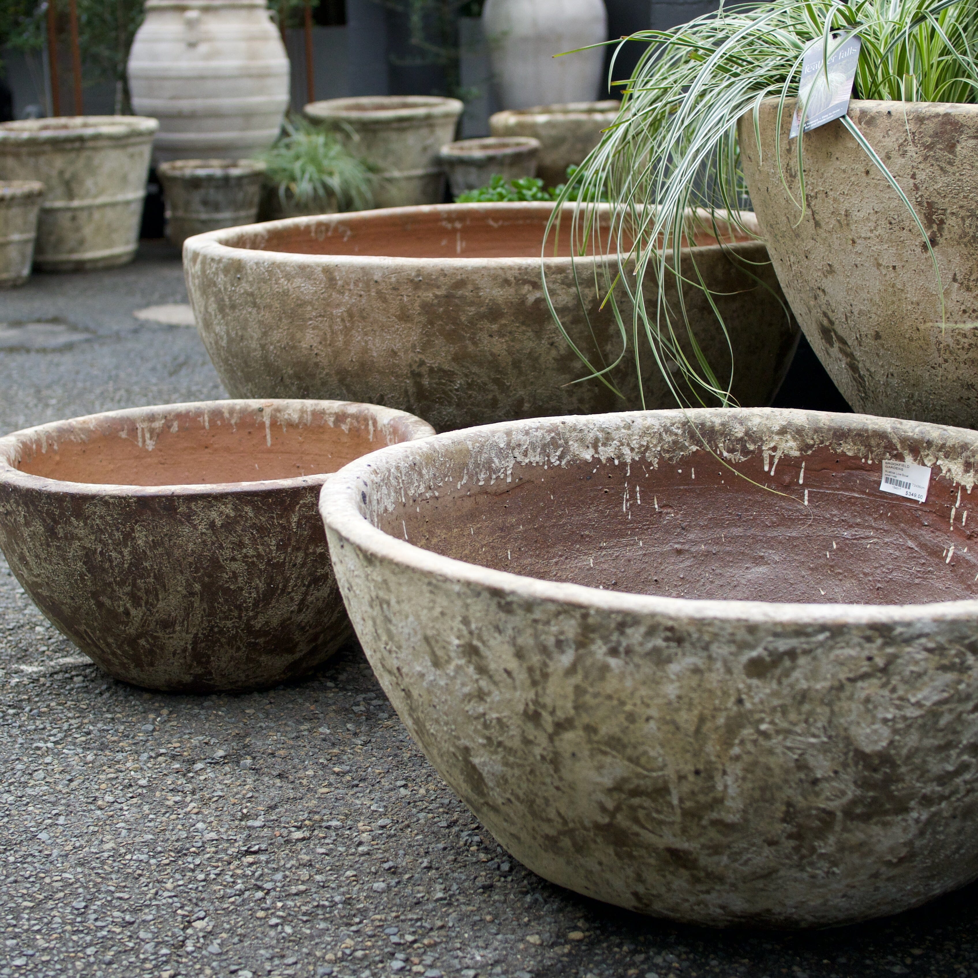 Rustica Bowl Pots - Atlantis Brookfield Gardens 