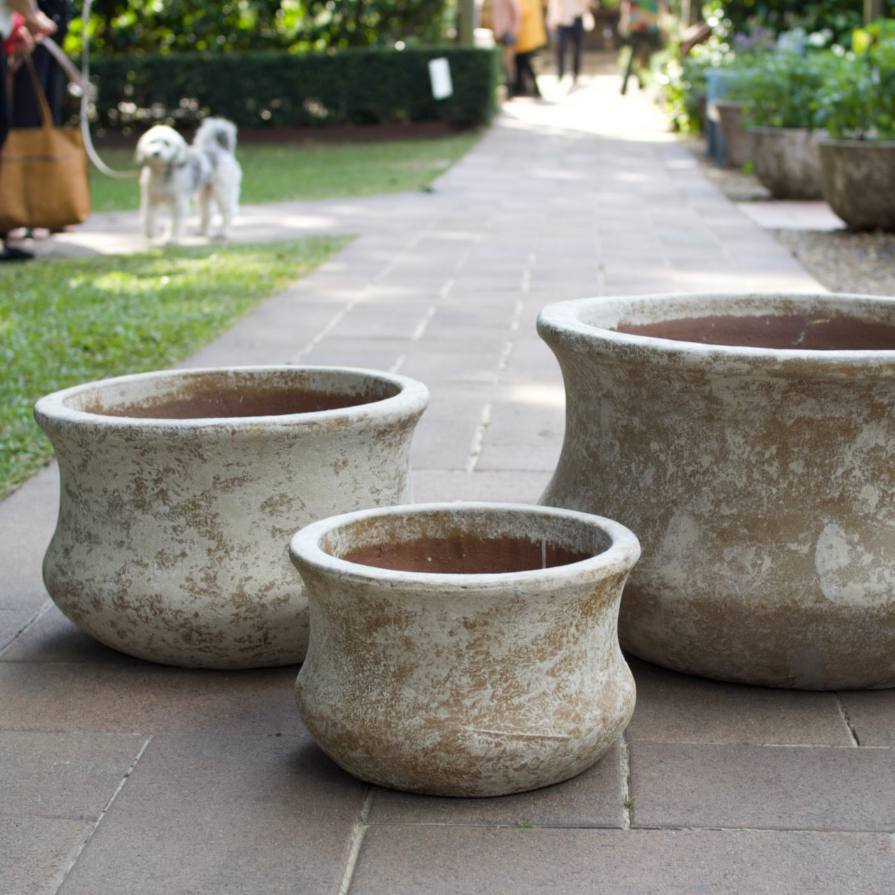Rustica Low Lotus Pots in multiple sizes with a weathered antique finish, displayed as elegant feature pots at Brookfield Gardens, Brisbane.