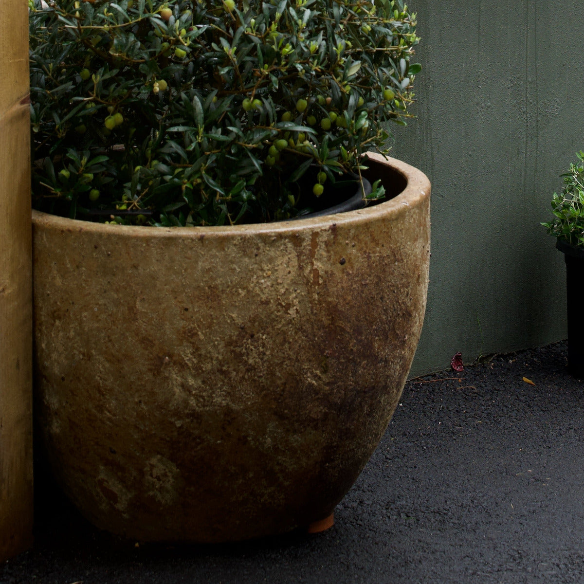 Rustica Planter with aged terracotta-style finish paired with clipped olive tree at Brookfield Gardens Brisbane