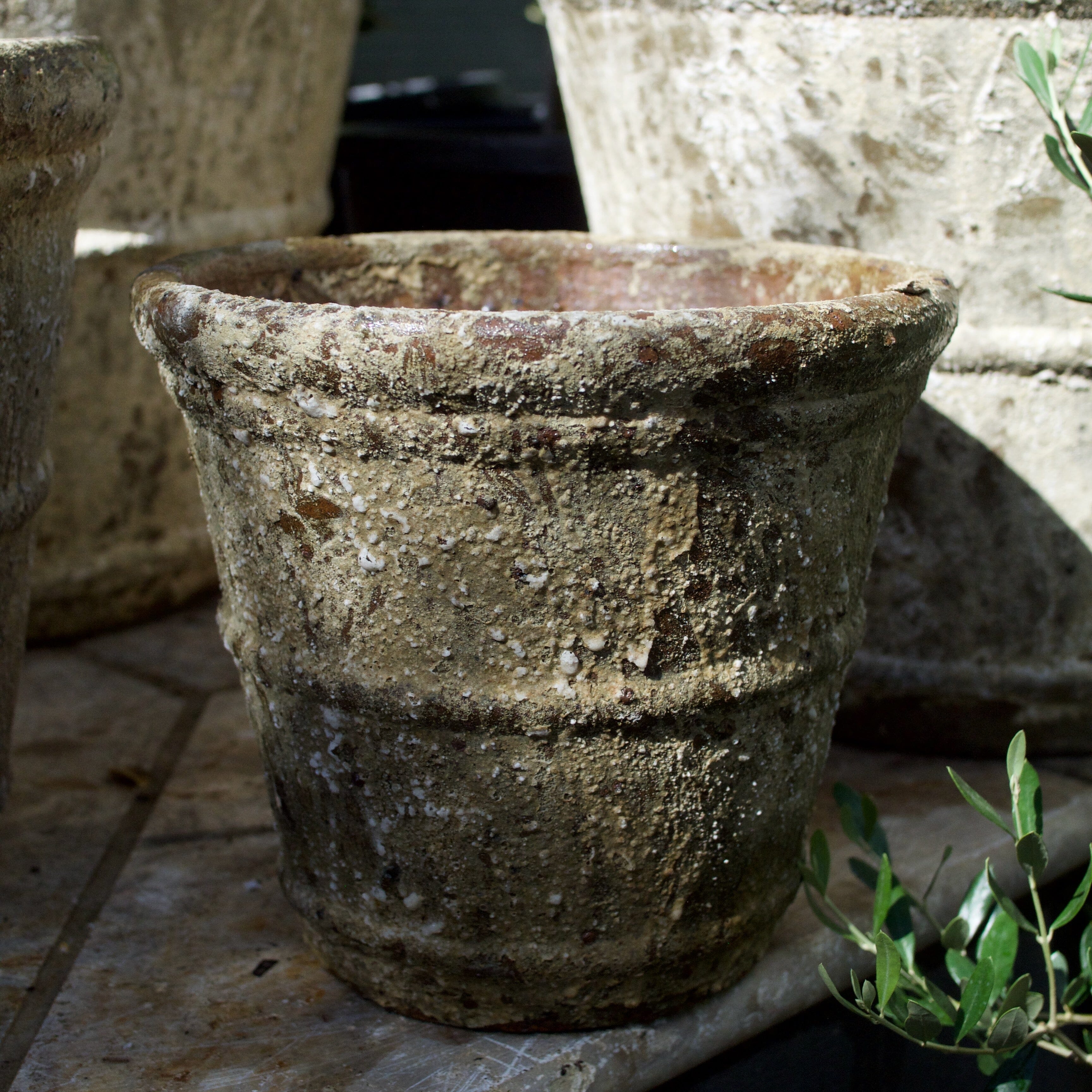 Rustica Roll Rim Pot Pots - Atlantis Brookfield Gardens 