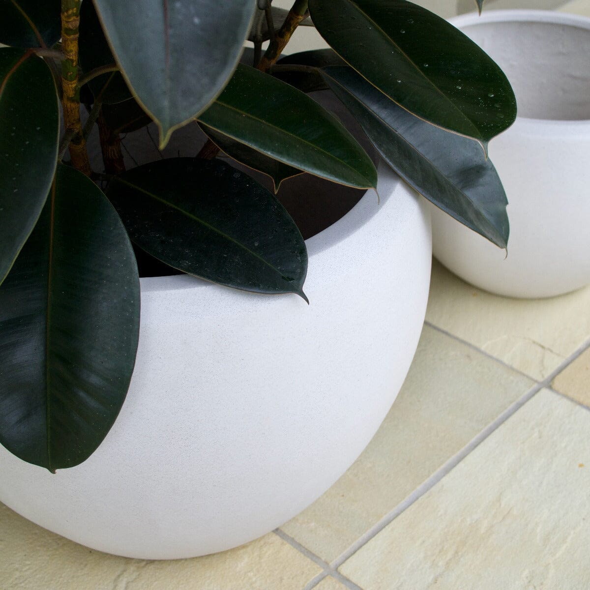 Sante Ball Planter Pots - Light Weight Brookfield Gardens 