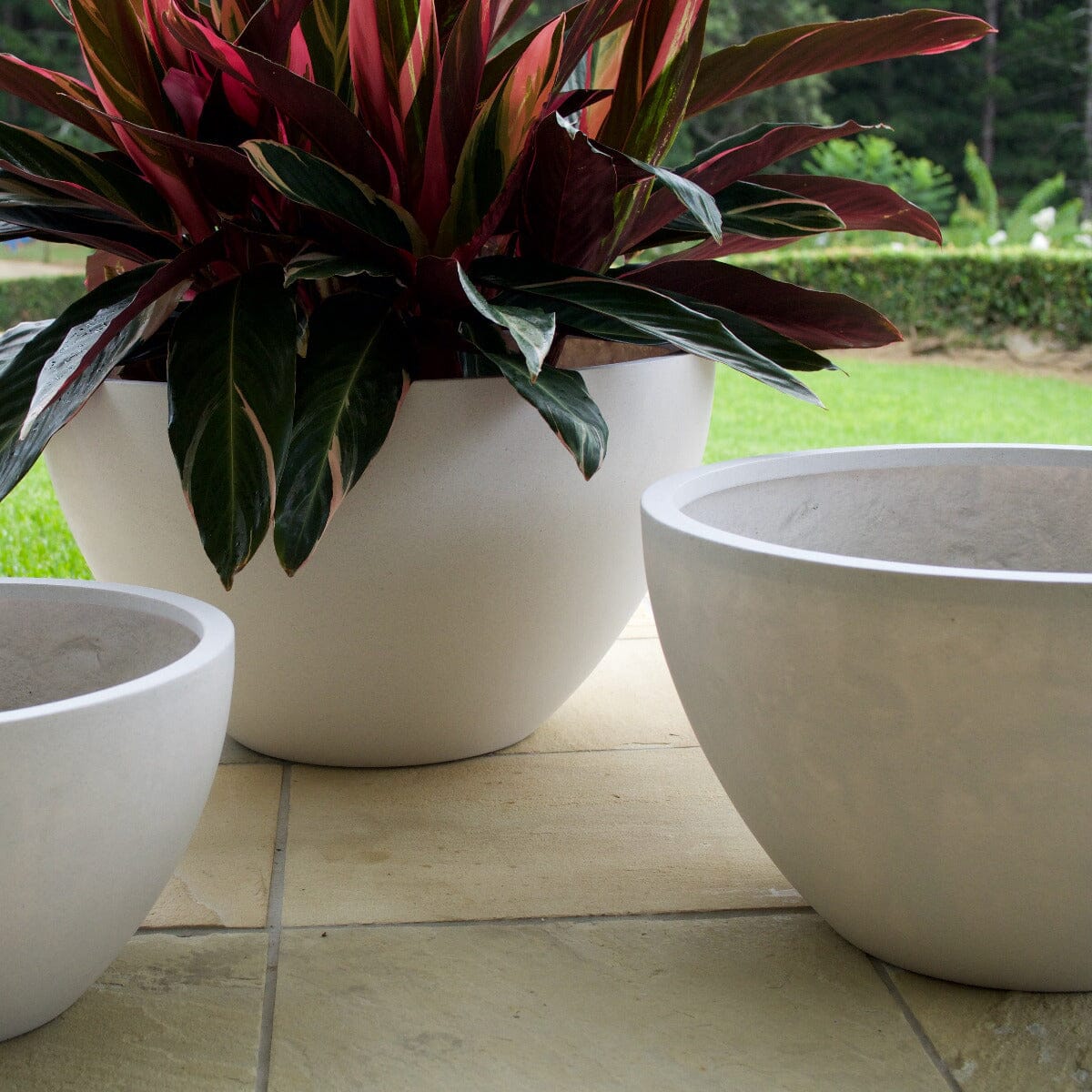 Sante Squat Egg Planter Pots - Light Weight Brookfield Gardens 