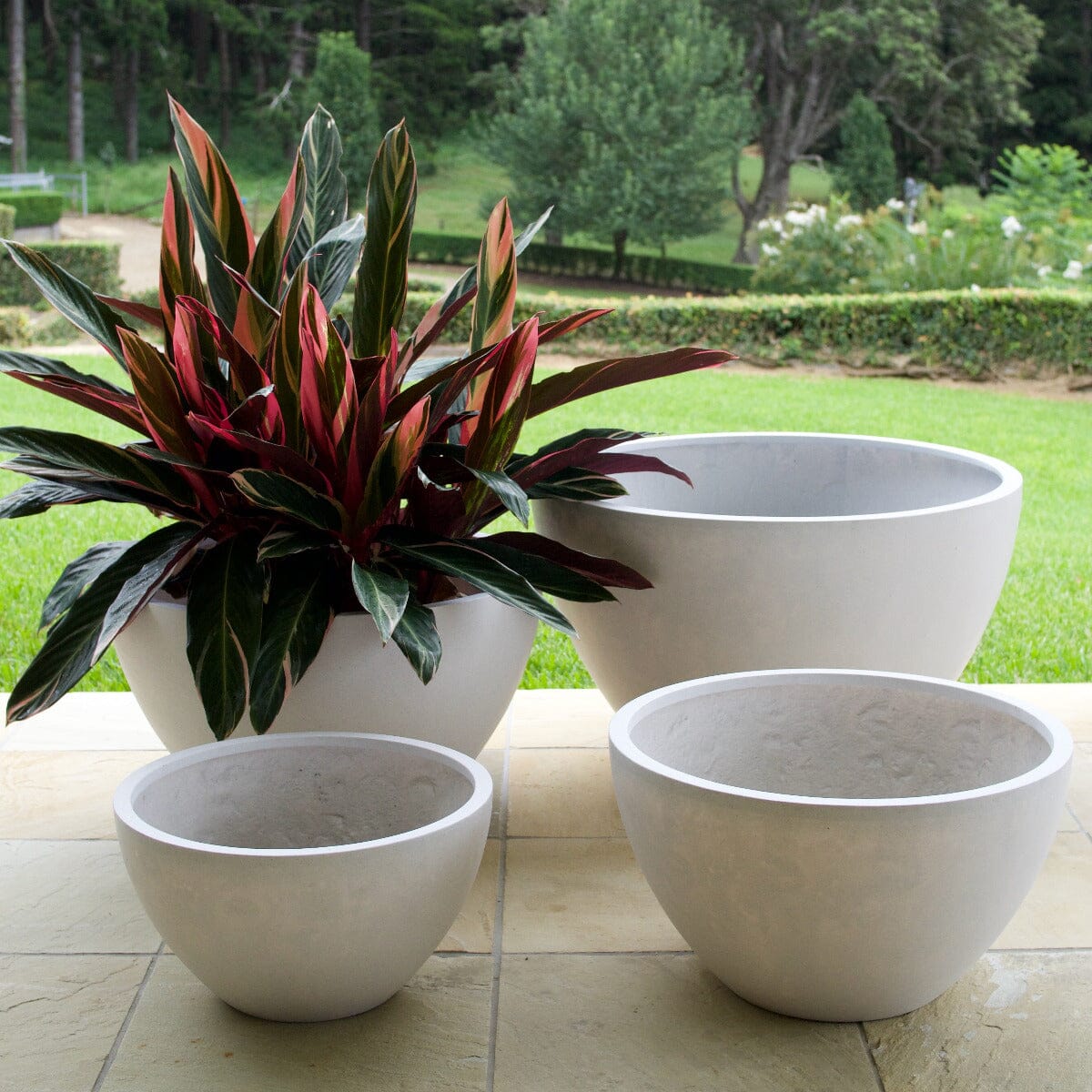 Sante Squat Egg Planter Pots - Light Weight Brookfield Gardens 