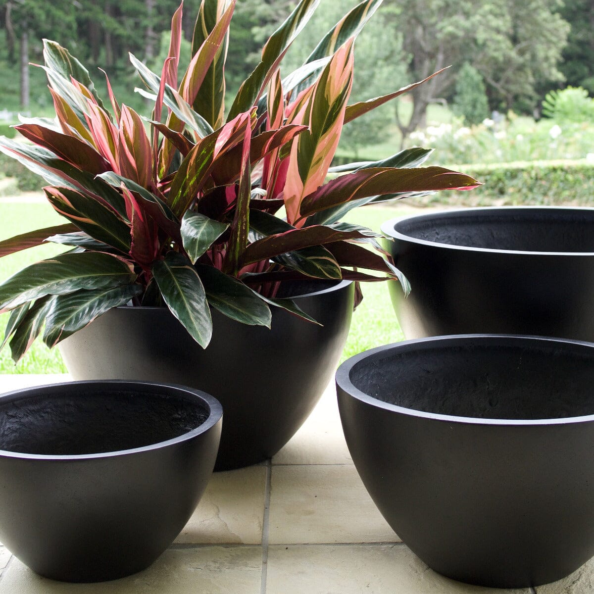 Sante Squat Egg Planter Pots - Light Weight Brookfield Gardens 