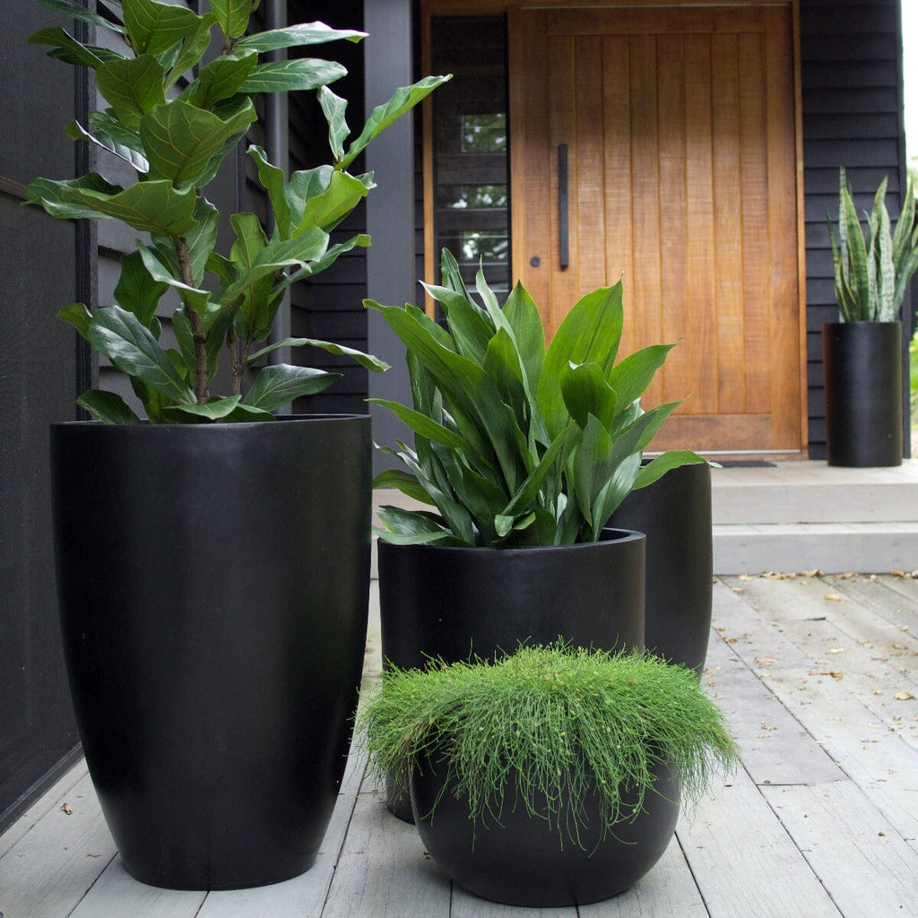 black pots with plants Sante Tall Round Planter
