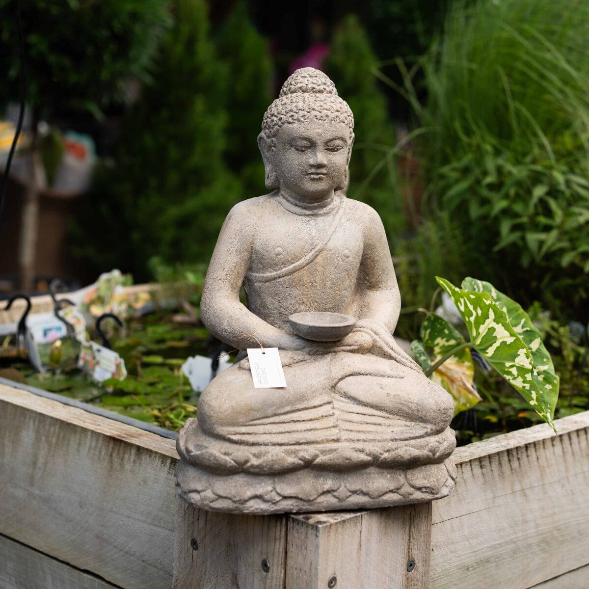 Sitting Buddha with Plate Fountain Statues / Water features / Bird Bath Brookfield Gardens 