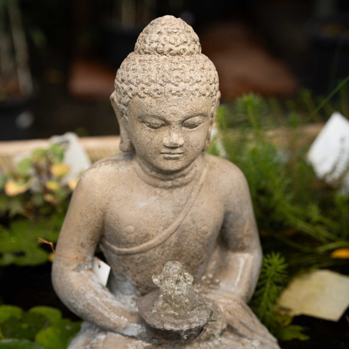 Sitting Buddha with Plate Fountain Statues / Water features / Bird Bath Brookfield Gardens 