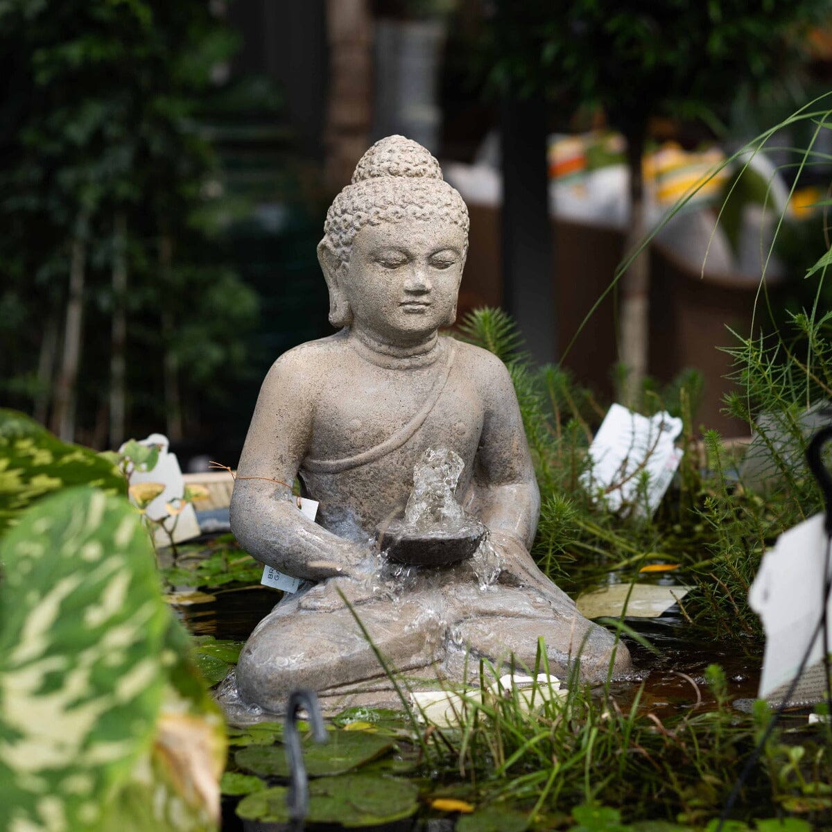 Sitting Buddha with Plate Fountain Statues / Water features / Bird Bath Brookfield Gardens 