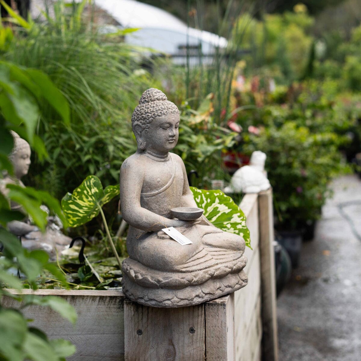 Sitting Buddha with Plate Fountain Statues / Water features / Bird Bath Brookfield Gardens 