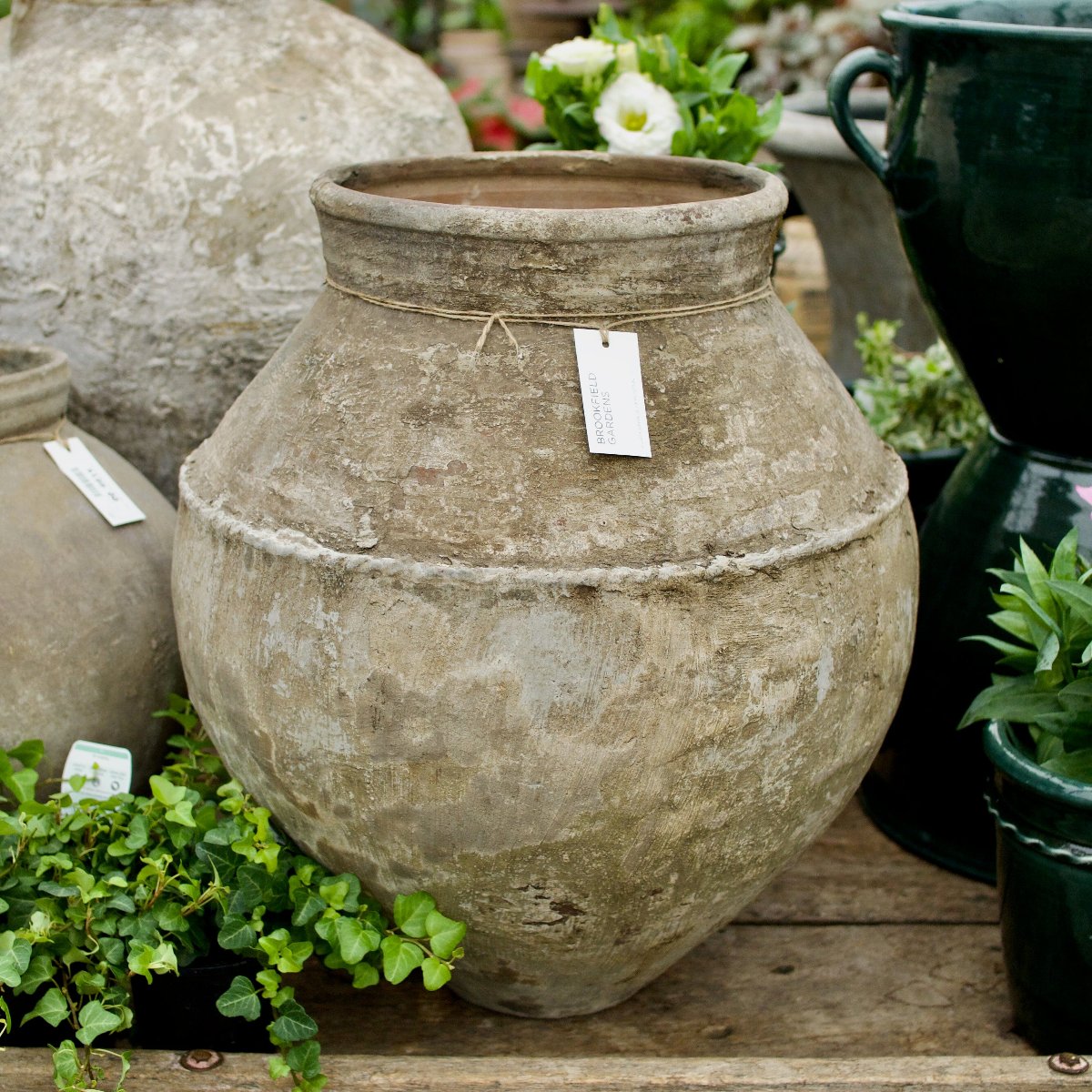 Terracotta Old Garden Pot Pots - Terracotta Brookfield Gardens 