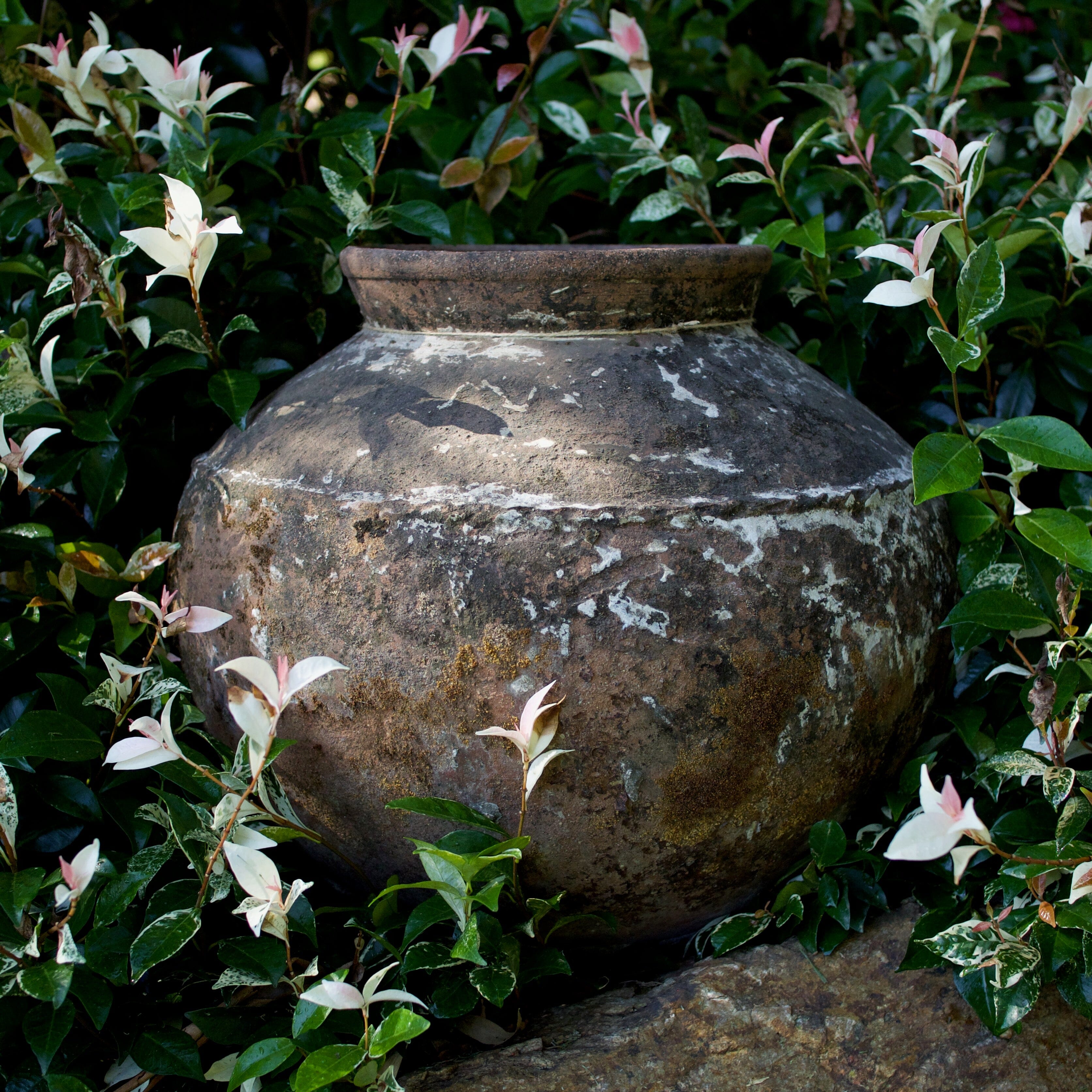 Terracotta Old Garden Pot Pots - Terracotta Brookfield Gardens 