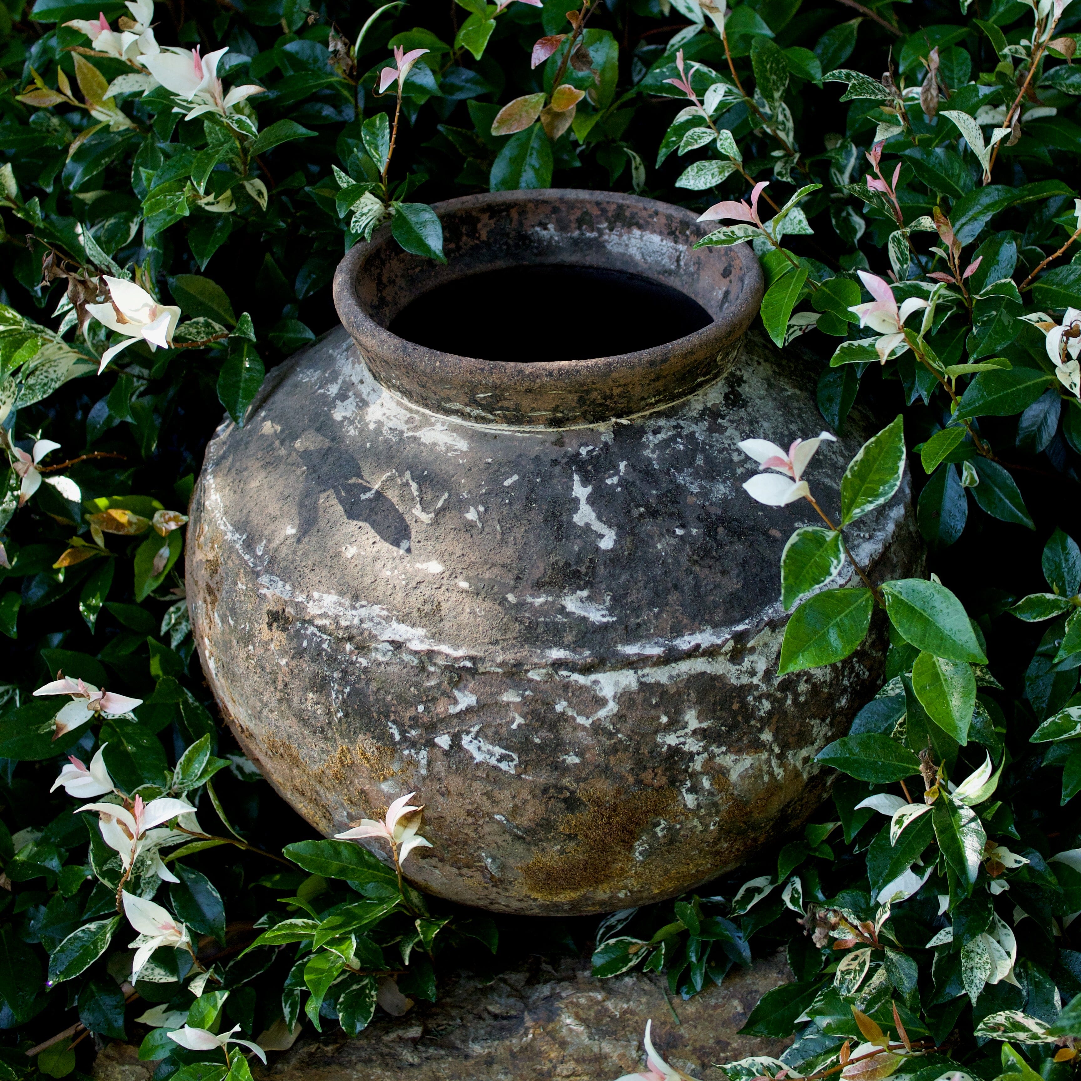 Terracotta Old Garden Pot Pots - Terracotta Brookfield Gardens 