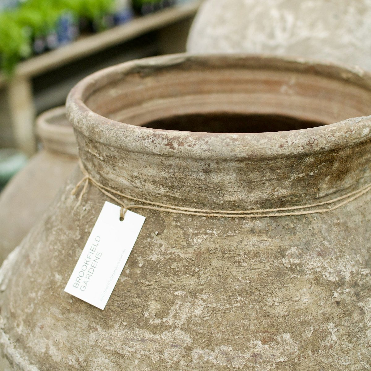 Terracotta Old Garden Pot Pots - Terracotta Brookfield Gardens 