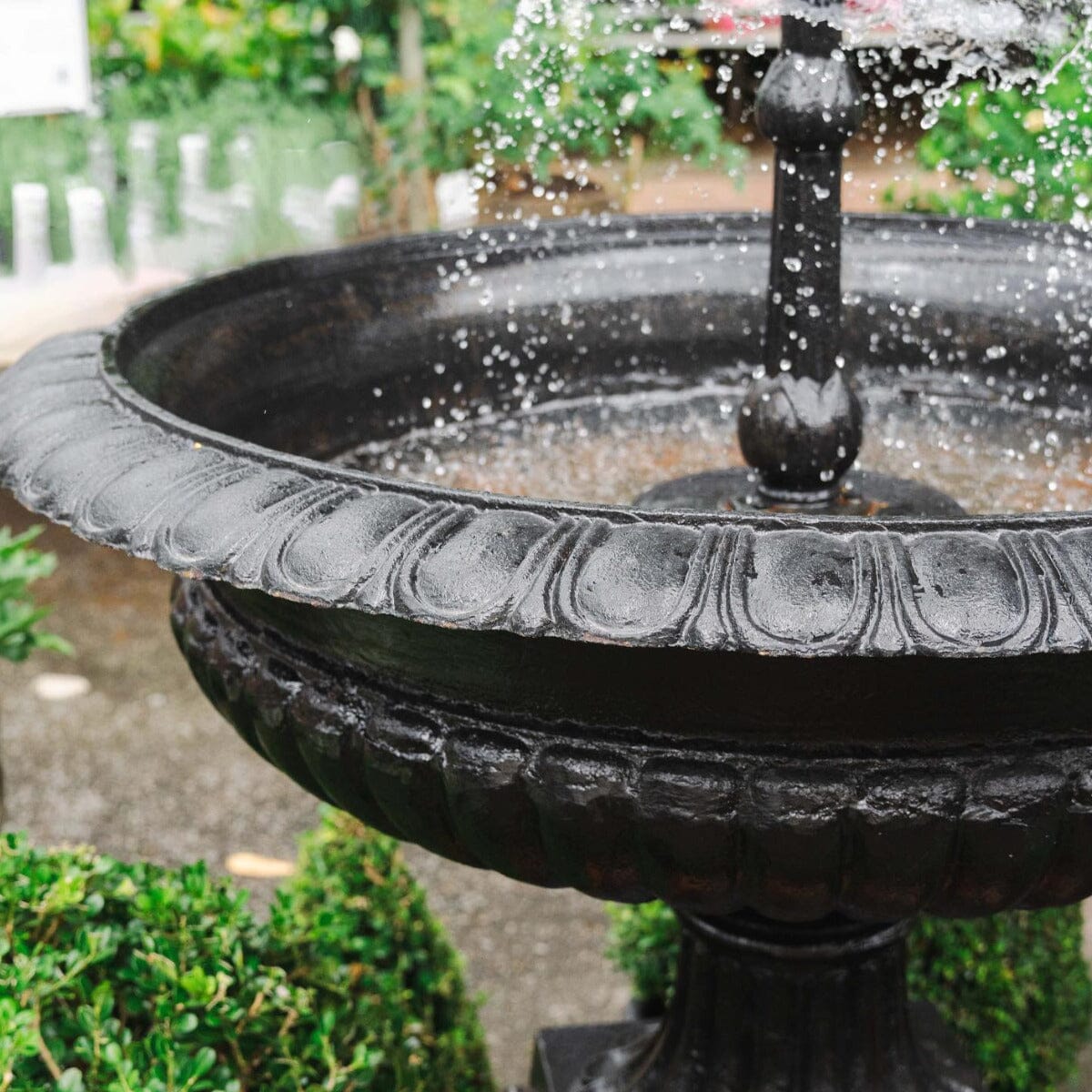 Toulouse Fountain Statues / Water features / Bird Bath Brookfield Gardens 