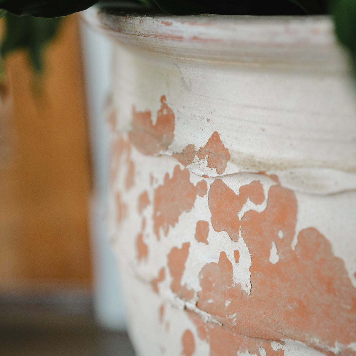 Aged Turkish terracotta planter with lime-washed patina styled with greenery indoors.