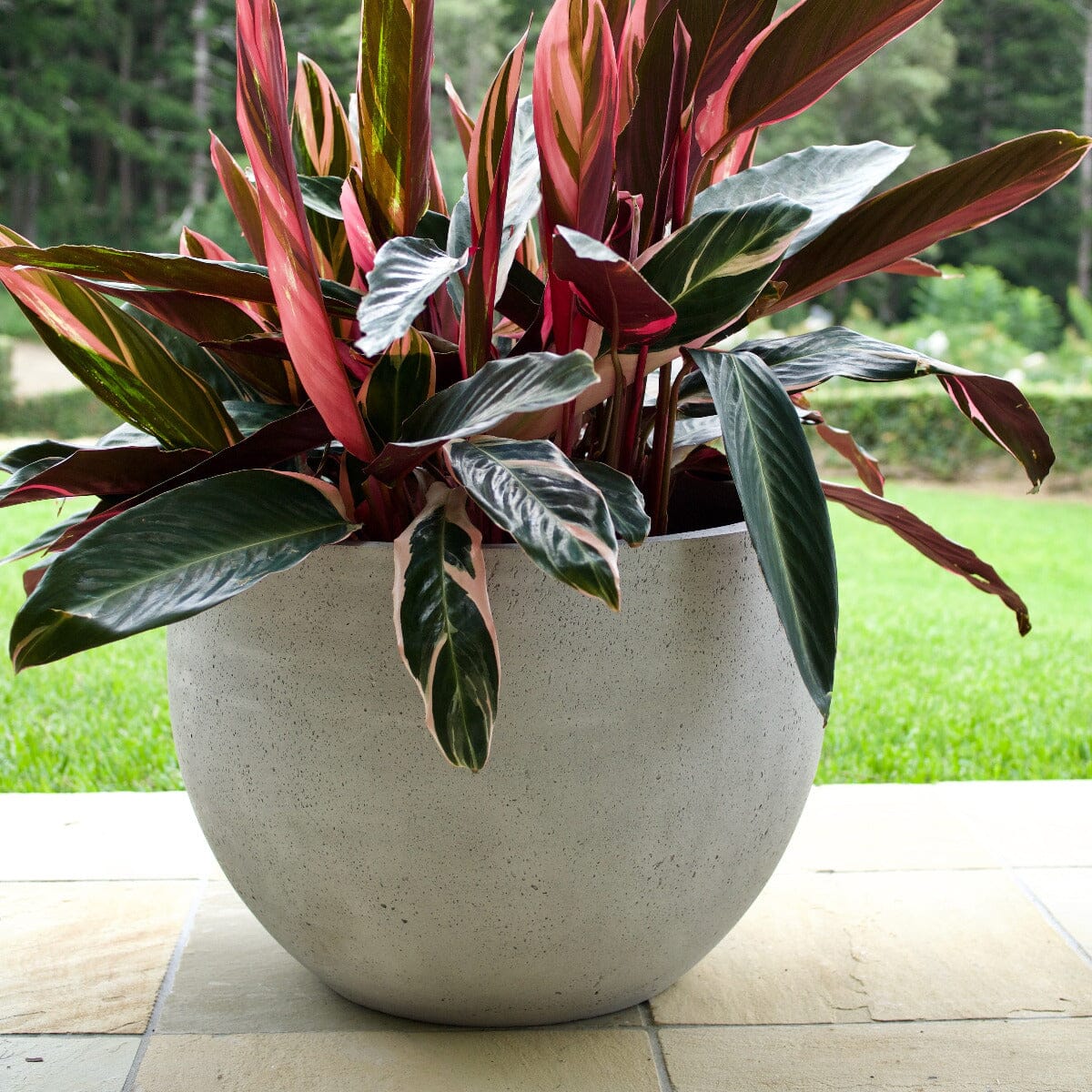 Urban Ball Planter Pots - Terrazzo Brookfield Gardens 