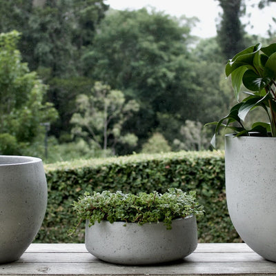 Urban Low Bowl Pots - Terrazzo Brookfield Gardens